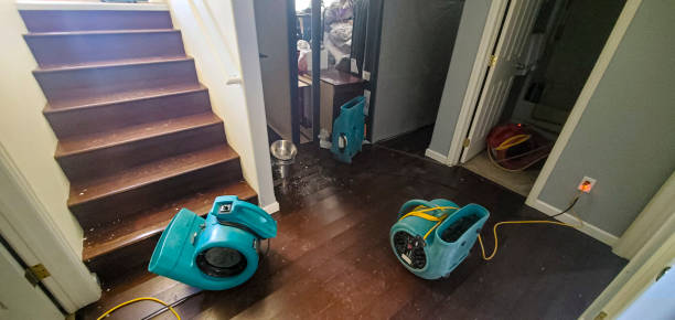 Best Water damage contractors near me  in Lambert, MS