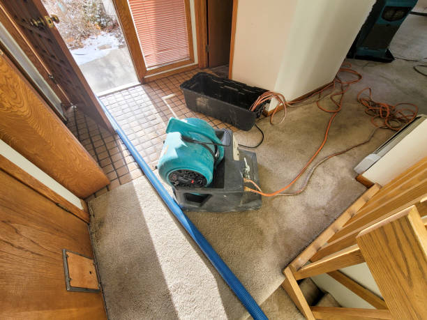 Best Flooded house restoration  in Lambert, MS