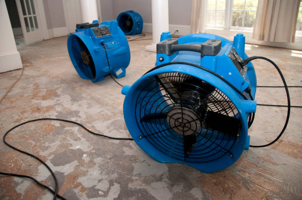 Professional Water damage restoration in Lambert, MS