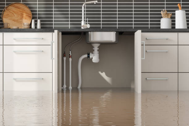 Best Basement water damage restoration  in Lambert, MS